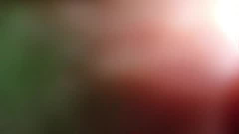 perla_lovely online show from May 1, 12:54 pm