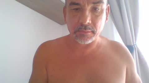 pet09 online show from June 23, 2:48 pm