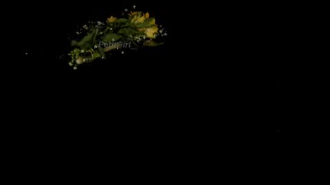  J A S S  online show from January 1, 4:18 am