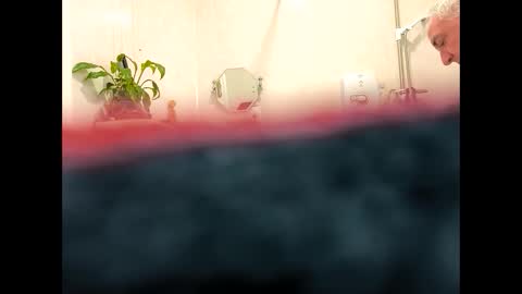 petrol63102 online show from February 19, 9:38 am