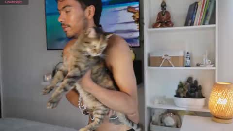 Pettercat online show from November 6, 7:37 pm