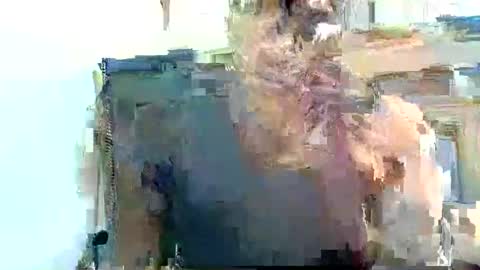 Pfani online show from April 19, 12:15 pm