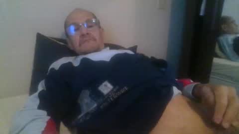 Snapshot of pichoun71 chatting on November 8, 8:14 am pichoun71 online show from November 8, 8:14 am