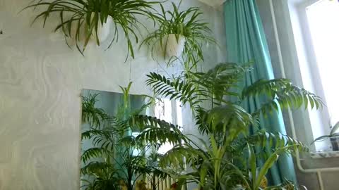 Snapshot of pink_light chatting on February 11, 5:34 am Tatyana online show from February 11, 5:34 am