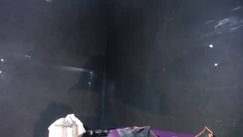 Snapshot of pirata_privado chatting on December 5, 10:35 am pirata_privado online show from December 5, 10:35 am