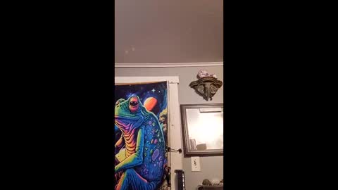 pizzedwife online show from February 13, 8:16 pm