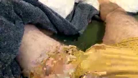 playful_hon online show from February 1, 3:10 pm