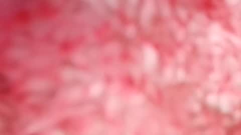 Snapshot of pocahontasdoll95 chatting on May 14, 7:53 pm pocahontasdoll95 online show from May 14, 7:53 pm