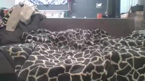 pokerfffface79 online show from March 27, 6:41 am