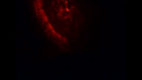 pollachico online show from November 20, 8:14 am