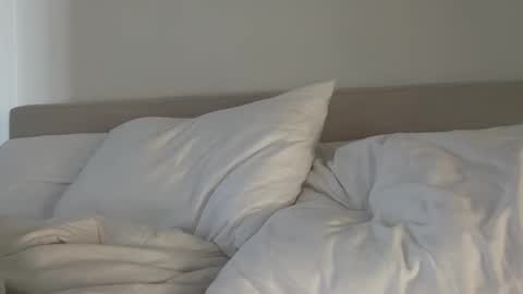 Polly Pocket online show from December 22, 4:04 pm