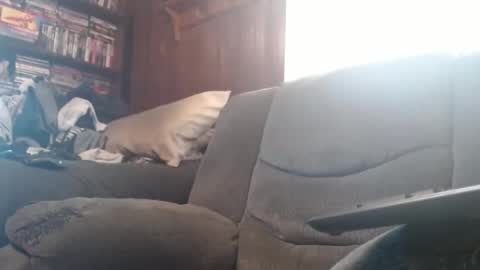 porkingit400 online show from February 14, 5:14 pm