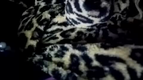 Snapshot of prettyimaa chatting on January 21, 8:19 am prettyma online show from January 21, 8:19 am