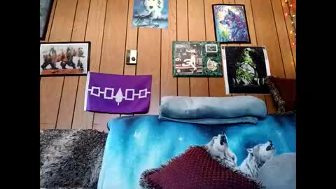 prettysolid7 online show from March 1, 4:31 pm