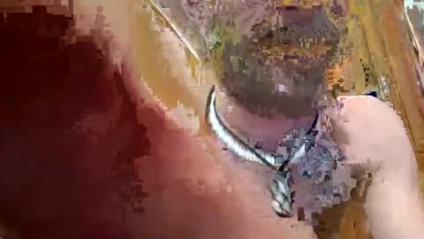 prettysolidd7 online show from December 2, 2:42 am