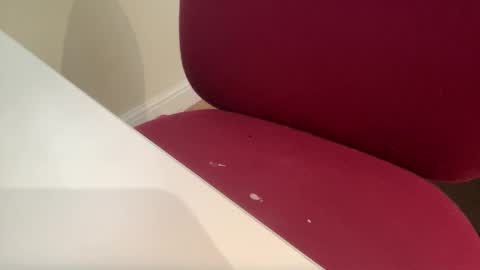 pritchj online show from March 10, 12:37 pm