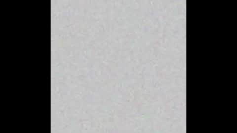 Timmy online show from October 31, 12:28 pm