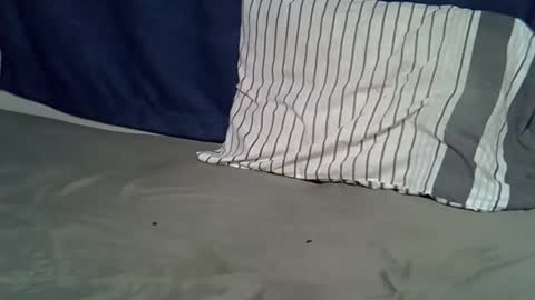 Snapshot of queen_polite chatting on February 22, 8:02 am queen_polite online show from February 22, 8:02 am