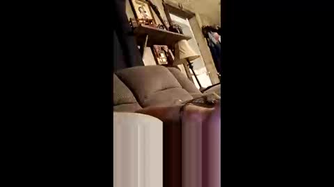 qwcipudorthw online show from April 7, 5:30 am