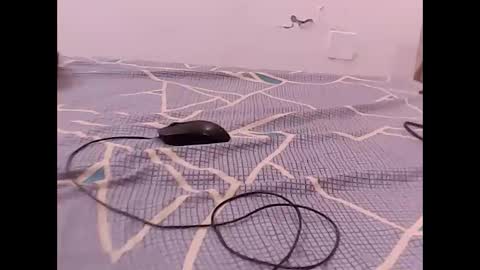 RAMAN online show from December 1, 4:56 pm