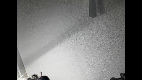 RamonaJ online show from February 21, 4:51 am