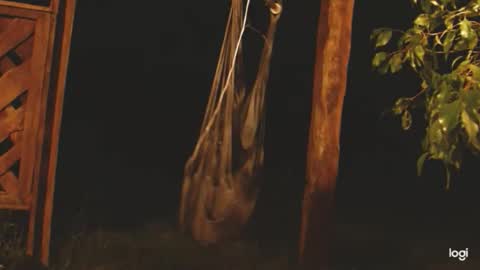 ready4aride2day online show from April 24, 2:14 am