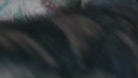 realrubpirate online show from January 18, 9:46 am