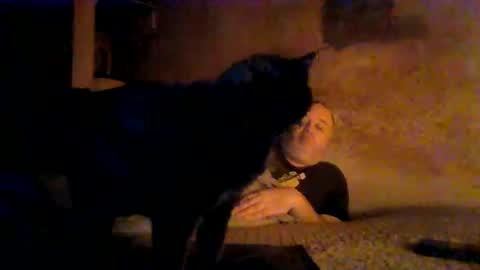 Snapshot of reddragon1195 chatting on April 4, 4:55 am reddragon1195 online show from April 4, 4:55 am