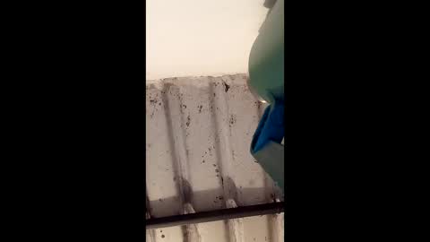 Snapshot of reinft chatting on March 1, 10:06 am reinft online show from March 1, 10:06 am