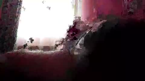 Snapshot of remus60 chatting on February 23, 10:12 am remus60 online show from February 23, 10:12 am