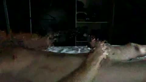 Rick online show from August 2, 7:56 pm