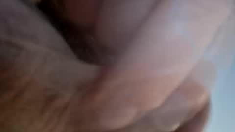 ridik2222333375562 online show from April 13, 2:28 am