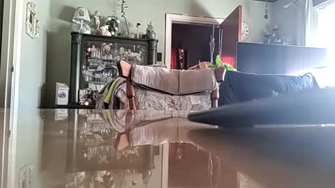 robke1966 online show from April 12, 6:40 am