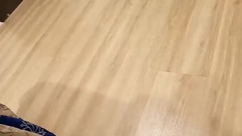 rockikoki online show from March 16, 4:33 pm