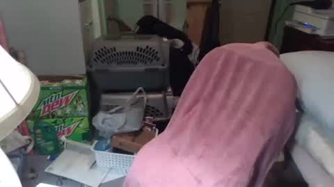 rocky082288 online show from November 25, 10:26 am