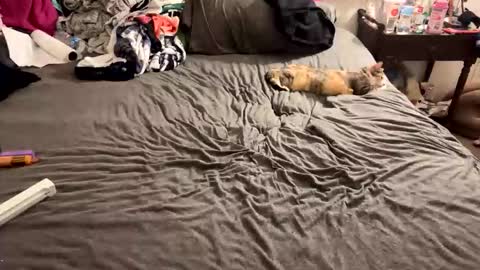 roguestoner420 online show from March 7, 2:08 am