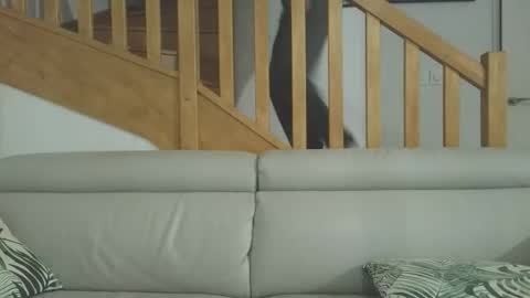 Romain online show from March 3, 6:47 pm