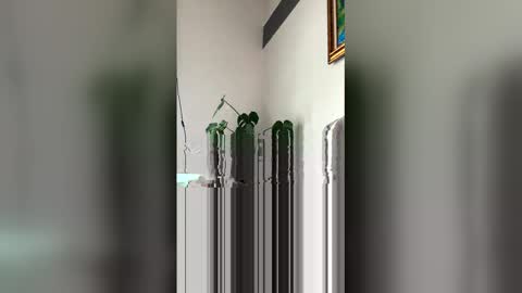 Roni Hall online show from March 29, 6:08 pm