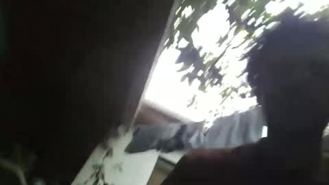 roseandjamesworld online show from March 22, 12:52 pm