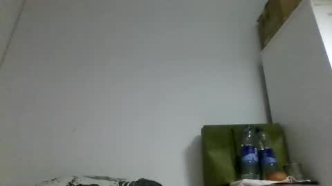 Rous online show from October 22, 12:33 am