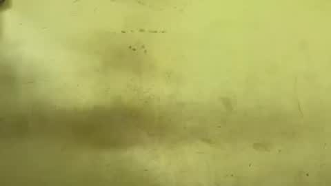 Rupali online show from March 24, 3:50 pm