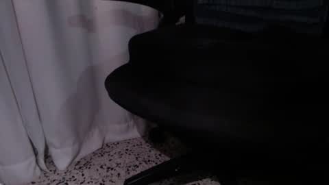 rx7900xtx online show from December 4, 3:27 am