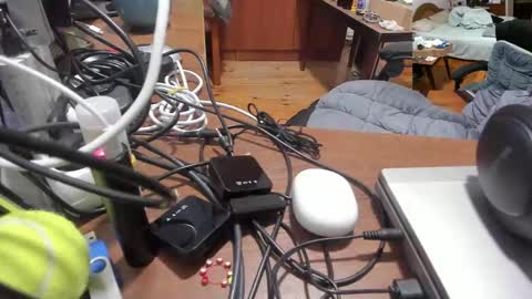 1141323  my Lord Mister Max   moms treasure online show from November 27, 10:56 pm