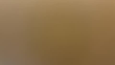 saconuts online show from April 19, 8:24 am