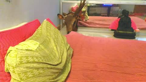 xxSeXSouLxx online show from May 30, 1:57 am
