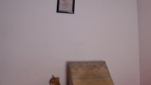 salvatore_amator online show from April 26, 2:04 pm