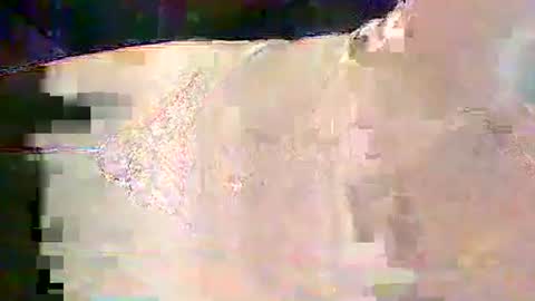 sam5554401727 online show from February 25, 6:28 pm