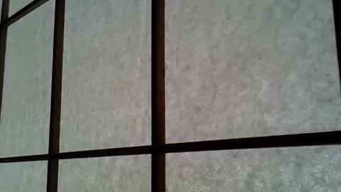 ssk online show from April 11, 4:50 am