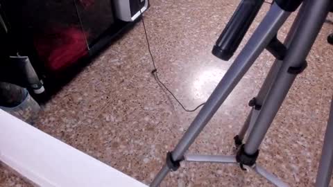 sara_salgado online show from February 23, 11:07 am