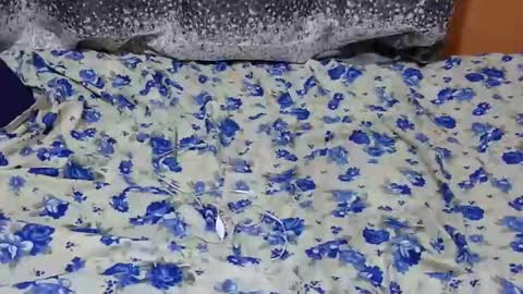 Its Lilly online show from January 27, 7:03 pm